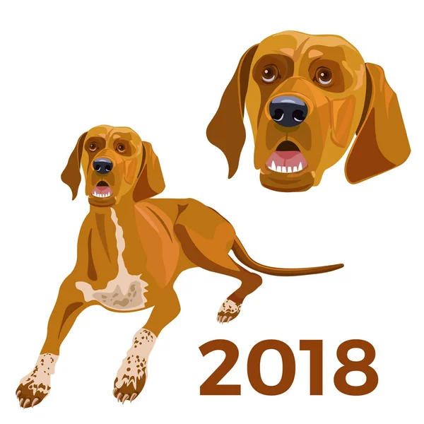 Gele hond vector — Stockvector