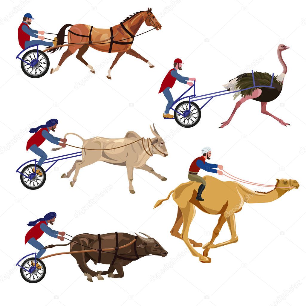 Animal races set