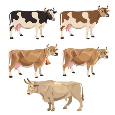Set of cattle clipart