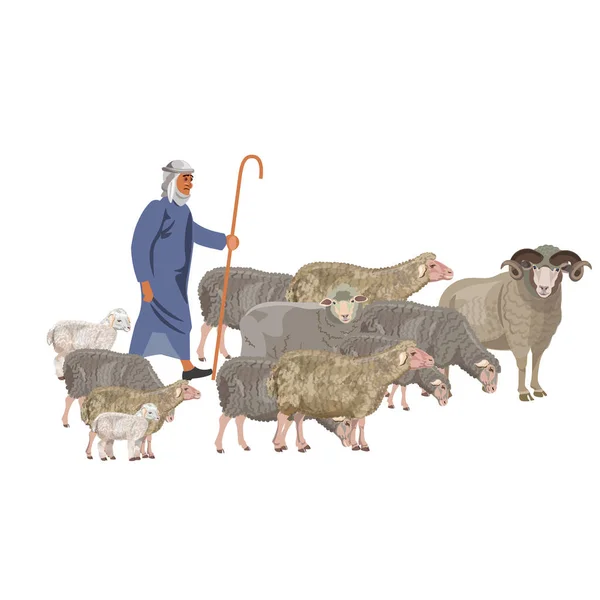 Pastore e pecore — Vettoriale Stock