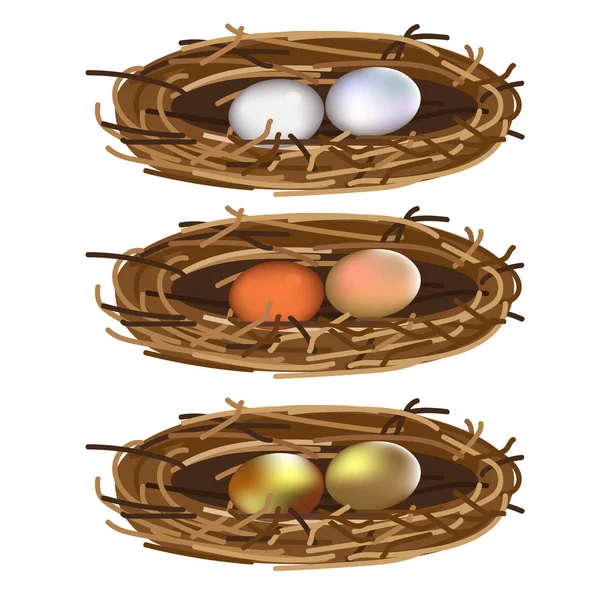 Set of bird nests — Stock Vector