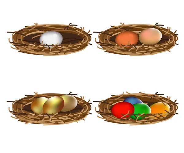 Set of bird nests — Stock Vector