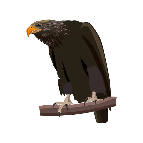 Eagle zittend op een tak — Stockvector