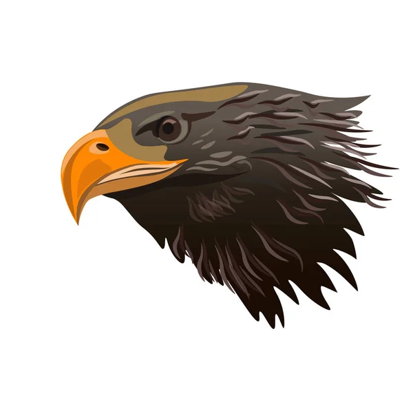 Eagle hoofd vector — Stockvector