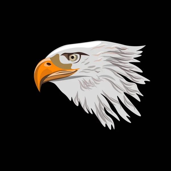 Cabeça de águia careca —  Vetores de Stock