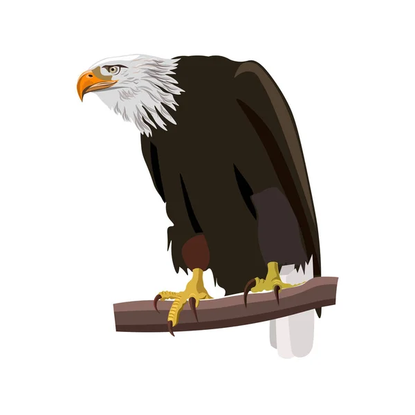 SESSÃO DE BALD EAGLE — Vetor de Stock