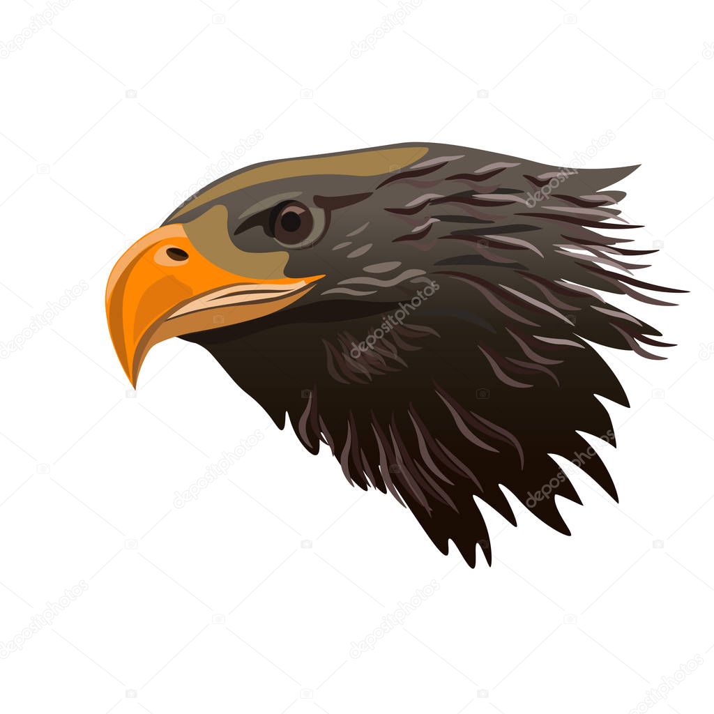 Eagle head vector