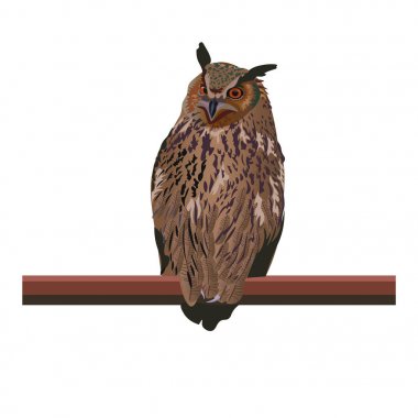 Eagle-owl bird vector clipart
