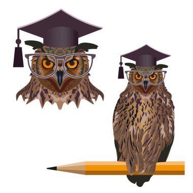 Kalem ile akıllı baykuş