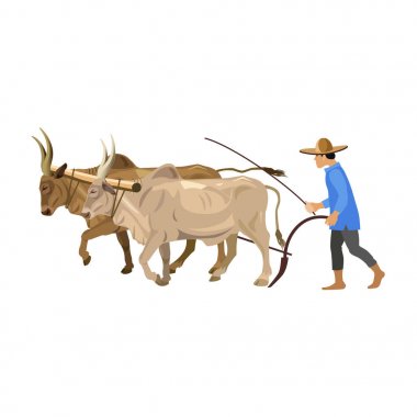 Zebu birkaç çiftçi
