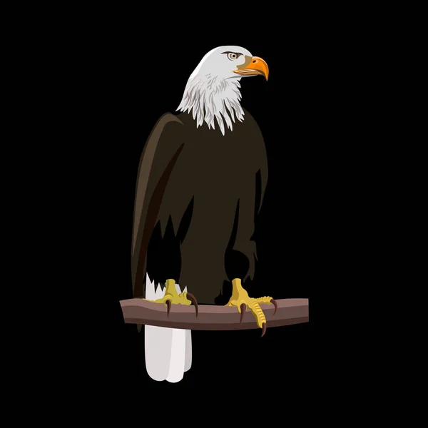 Bald eagle vergadering — Stockvector