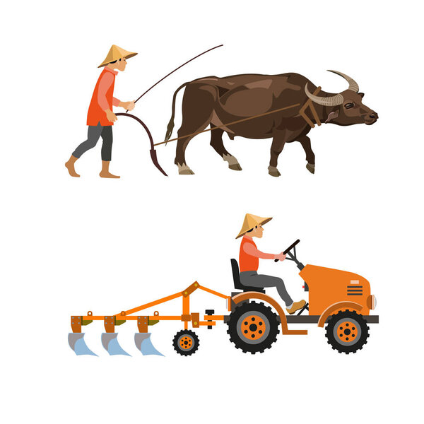 Plowing with cattle and farm tractor