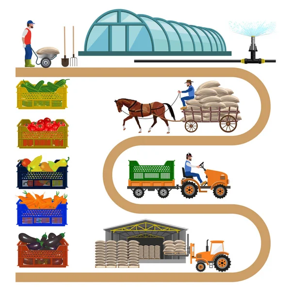 Infográfico da agricultura biológica —  Vetores de Stock