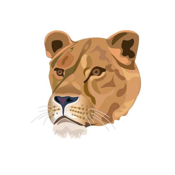 Portrait of lioness — Stock Vector