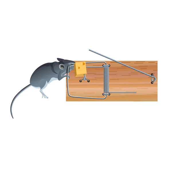 Mouse in a mousetrap — Stock Vector