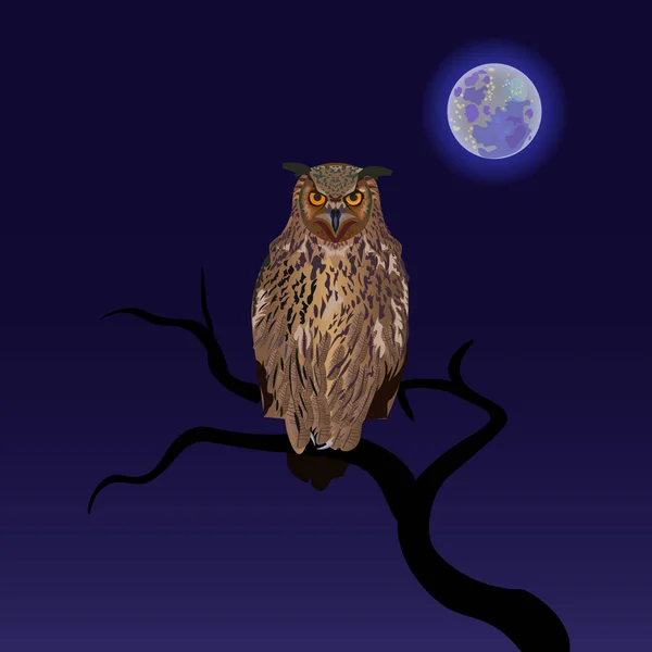 Owl against the full moon — Stock Vector