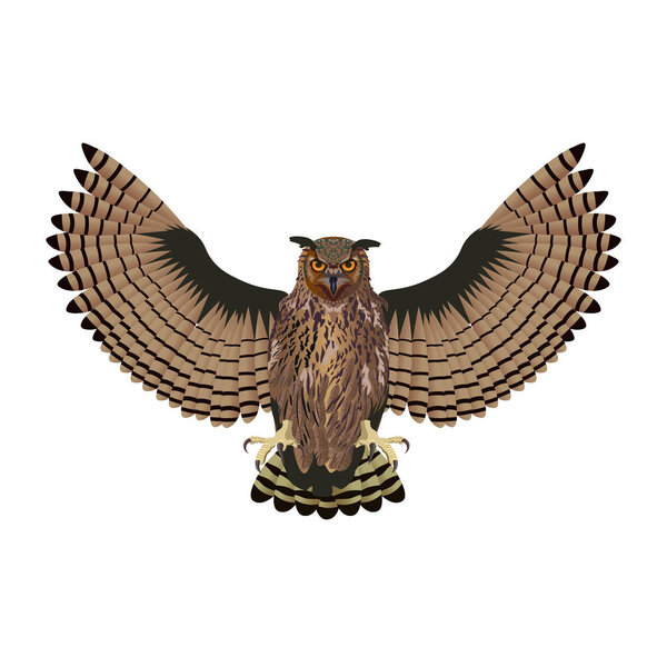 Owl with open wings