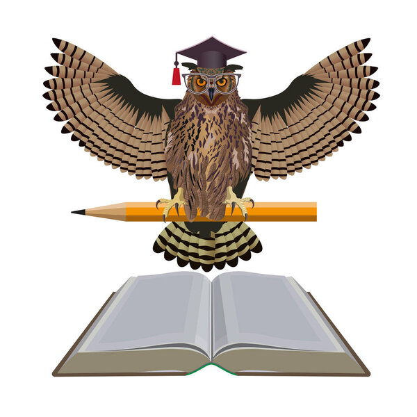 Smart owl with pencil