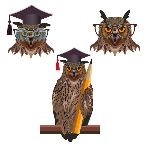 Set of wise owls