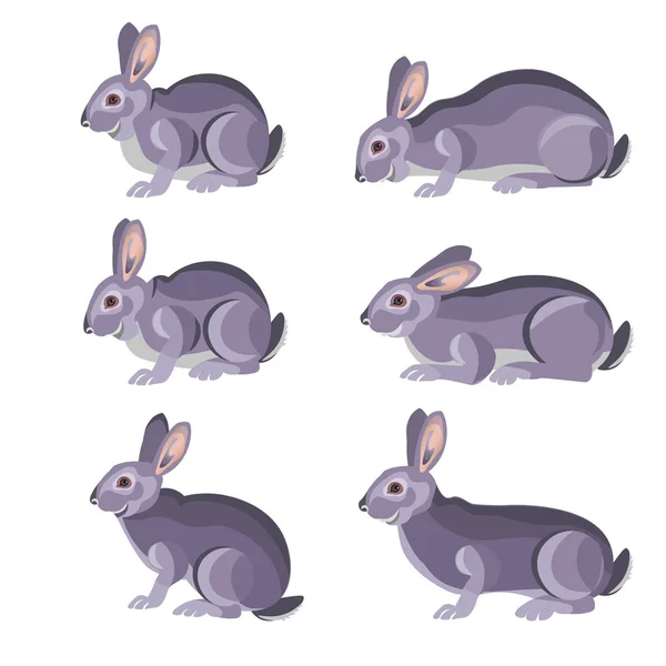 Set of gray rabbits. — Stock Vector