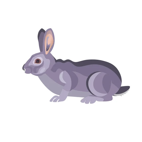 Gray rabbit lying — Stock Vector