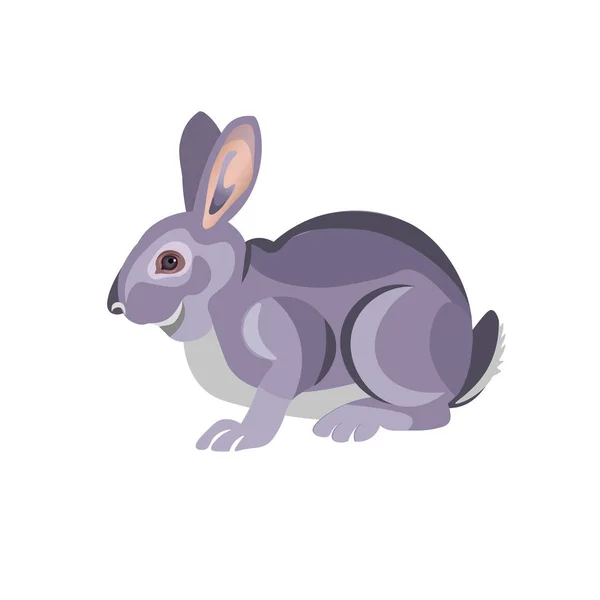 Coniglio grigio seduto — Vettoriale Stock