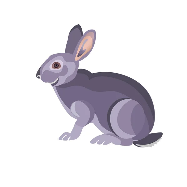 Coniglio grigio seduto — Vettoriale Stock