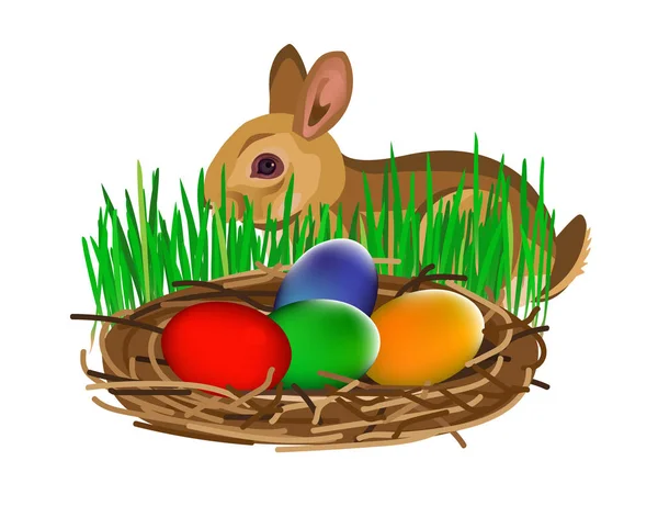 Coniglietto pasquale e uova — Vettoriale Stock