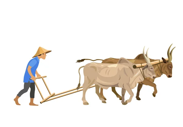 Agricultor com um par de zebu —  Vetores de Stock