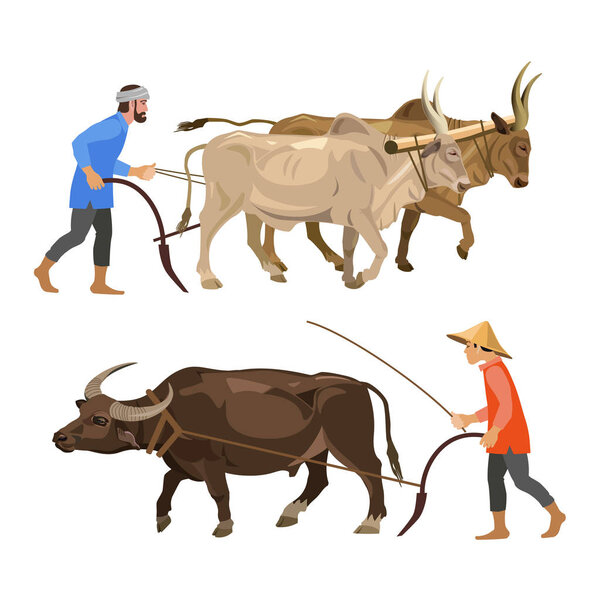 Peasants with oxen.