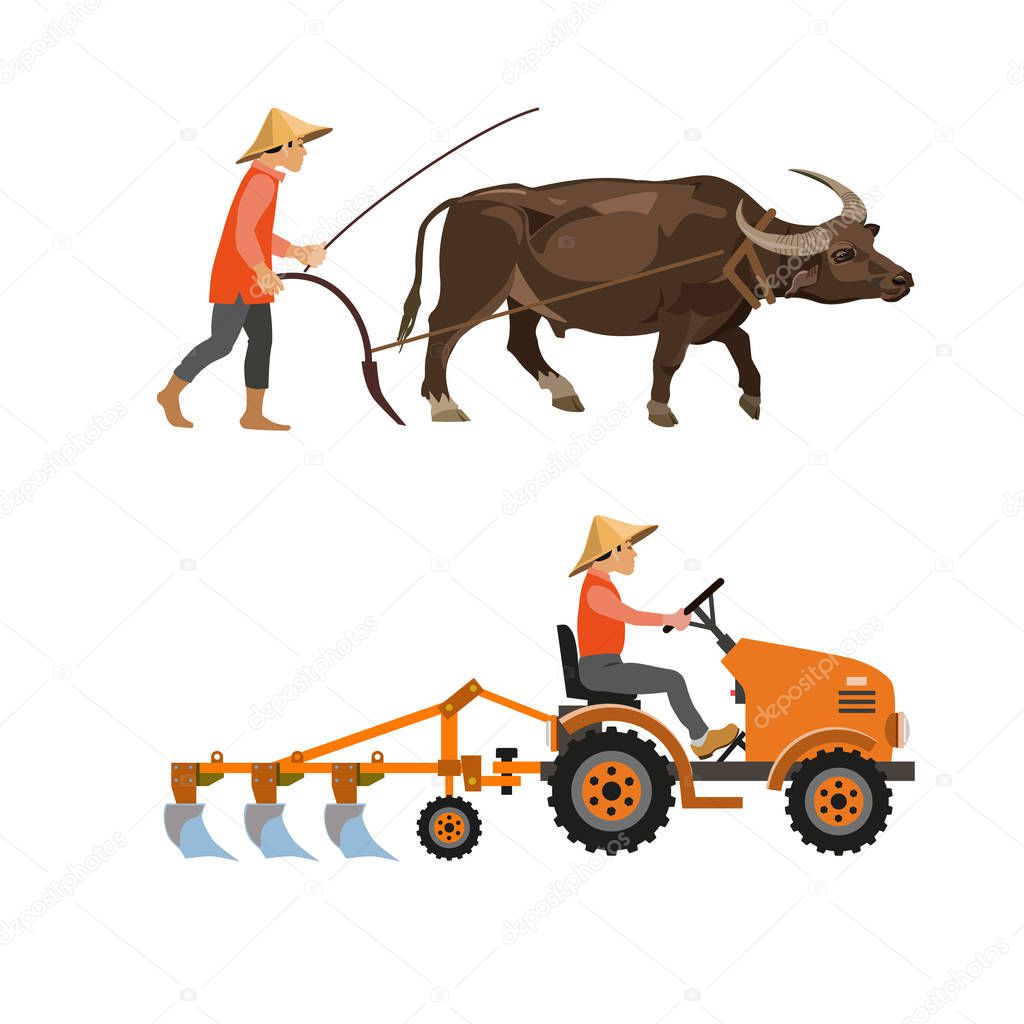Plowing with cattle and farm tractor