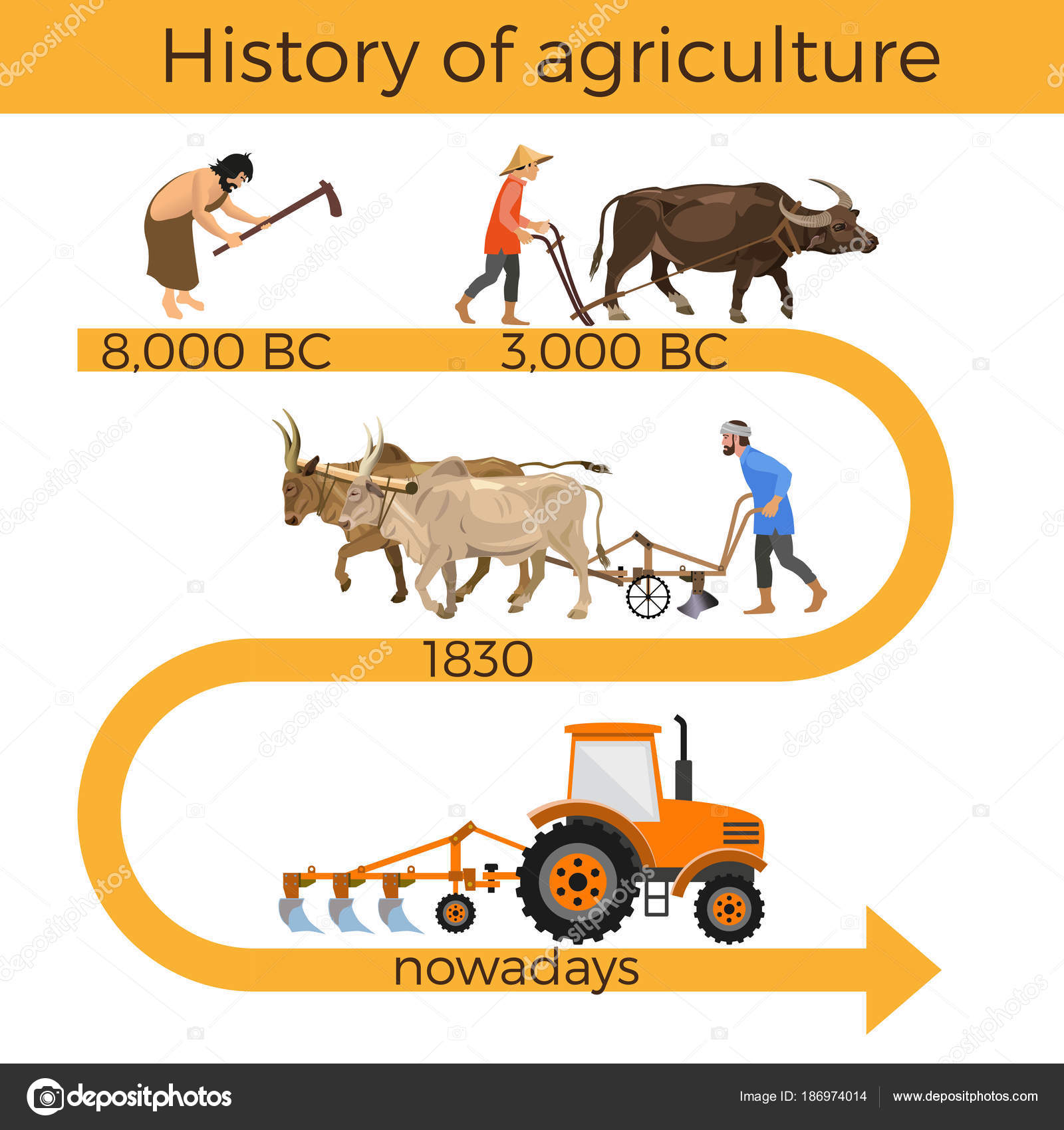History of agriculture Stock Vector by ©newgena 186974014