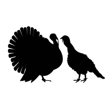 Türkiye'nin çift vektör