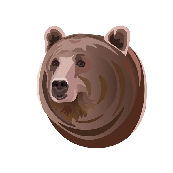 Retrato de oso — Vector de stock