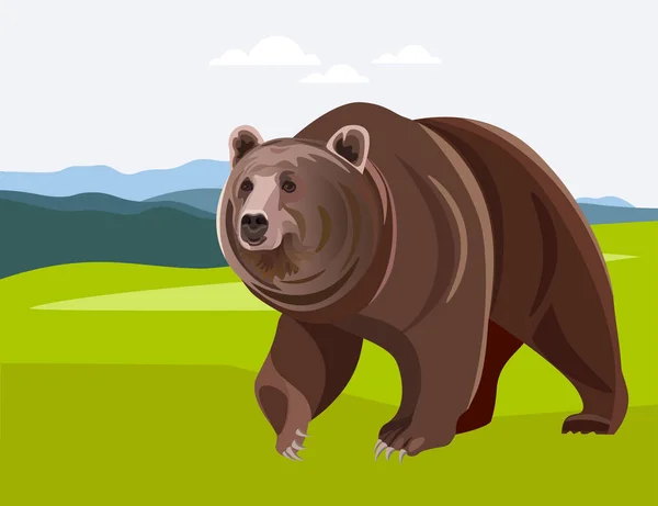 Bear in a grassy field — Stock Vector