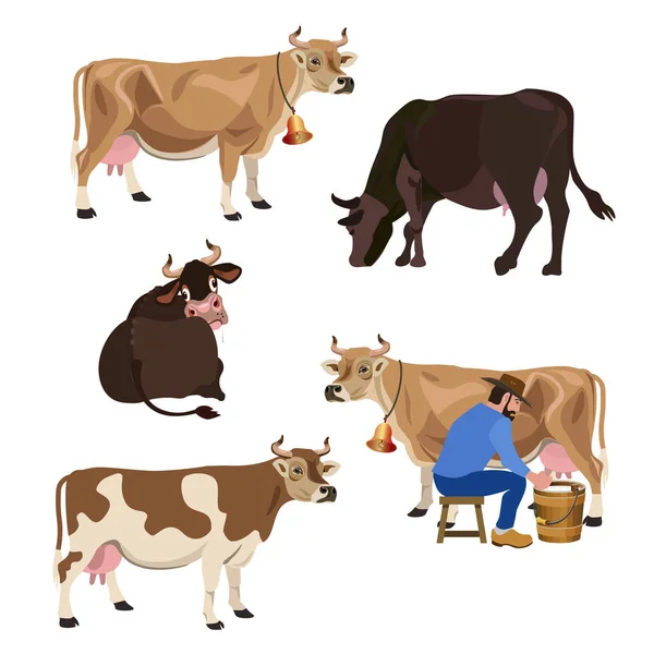 Vetor de conjunto de vacas — Vetor de Stock
