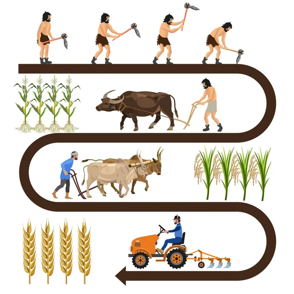 Historia de la agricultura — Vector de stock