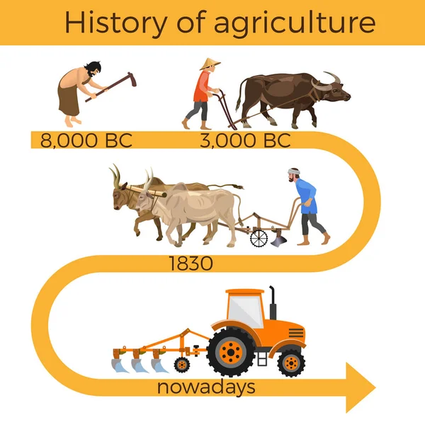 História da agricultura — Vetor de Stock