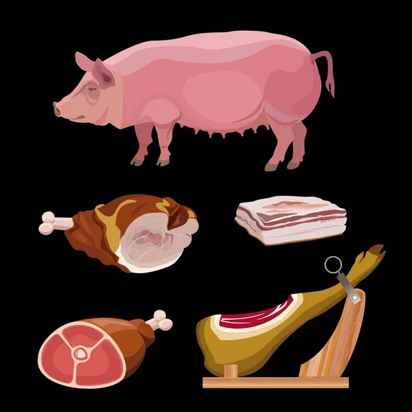 Pig and pork meat — Stock Vector