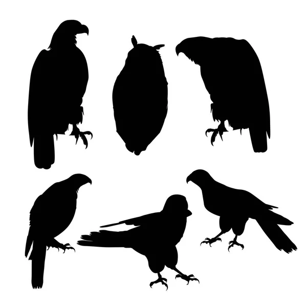 Conjunto de aves de rapina —  Vetores de Stock