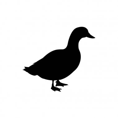 Ördek siluet vektör