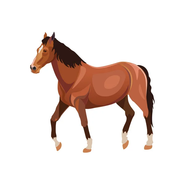 Cavallo a piedi marrone — Vettoriale Stock