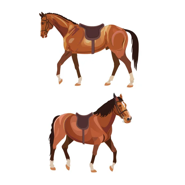 Dos caballos ensillados — Vector de stock