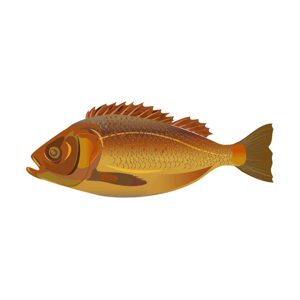 Poisson frit entier — Image vectorielle