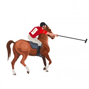 Atlı polo sport