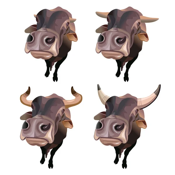 Portraits de bovins vaches — Image vectorielle