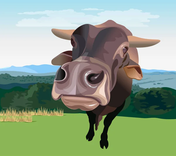 Amplia vista angular del ganado — Archivo Imágenes Vectoriales