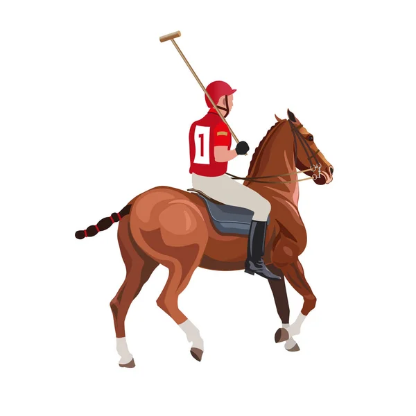 Jezdecké pólo sport — Stockový vektor