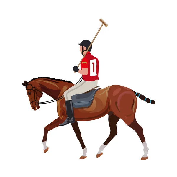 Equestrian polo sport — Stock vektor