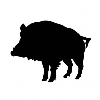 Çeviri: nazo82 Shagrathian